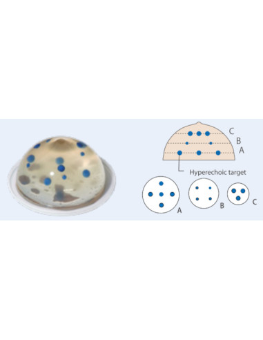 Jeu de deux fantômes de sein 1 transparent et 1 opaque pour simulatio de biopsie sous échographie Jeu de deux fantômes de sein 1 transparent et 1 opaque pour simulatio de biopsie sous échographie