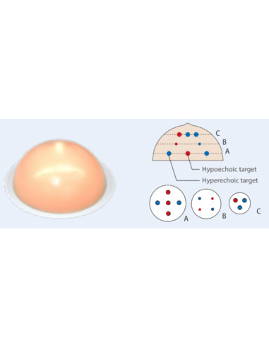Set of two breast phantoms 1 transparent and 1 opaque for training in biopsy under echography Set of two breast phantoms 1 transparent and 1 opaque for training in biopsy under echography